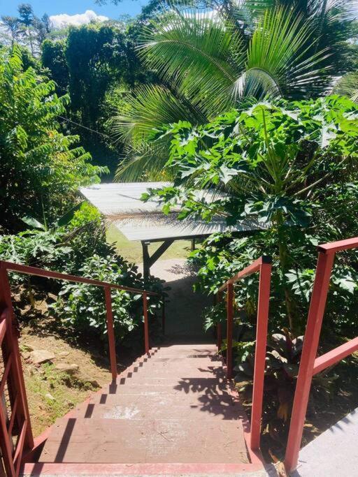 Apartamento Ohana Location Ravissant Appart Spacieux Parking Gratuit A Uturoa Exterior foto